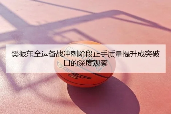 樊振东全运备战冲刺阶段正手质量提升成突破口的深度观察