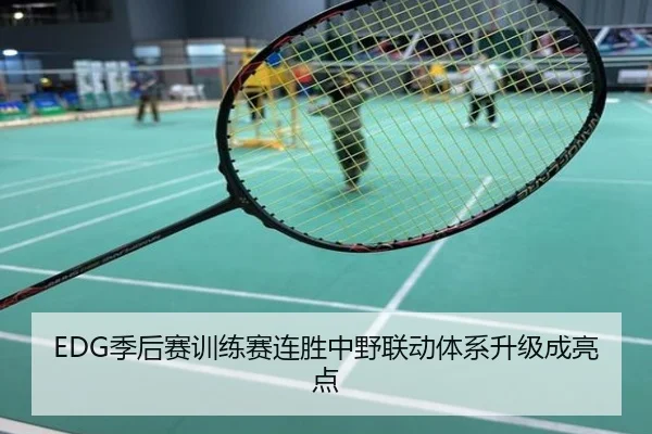 EDG季后赛训练赛连胜中野联动体系升级成亮点